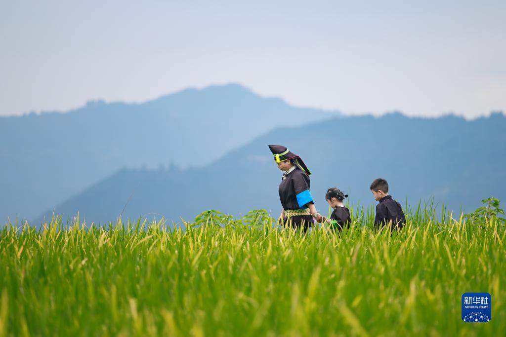 搜狗浏览器